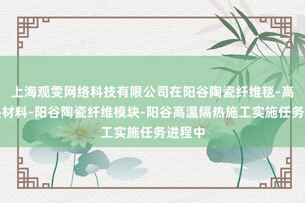 上海观雯网络科技有限公司在阳谷陶瓷纤维毯-高温隔热材料-阳谷陶瓷纤维模块-阳谷高温隔热施工实施任务进程中